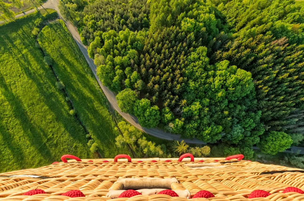 explore our programs